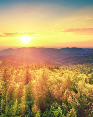 Two business professionals shaking hands in an office hallway with city buildings visible through large windows, representing partnership.